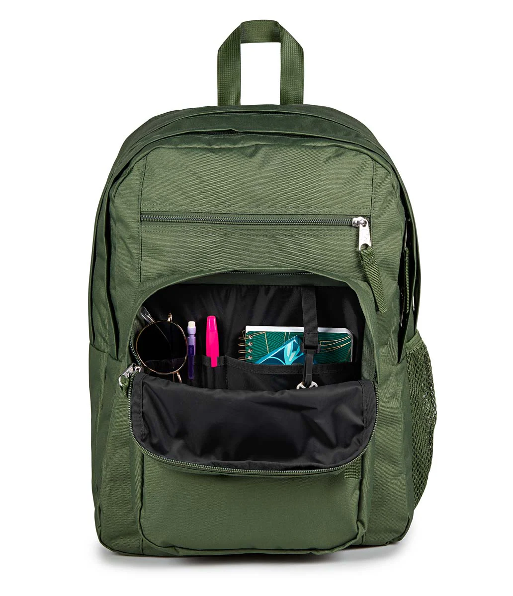 Big Student - Image 4