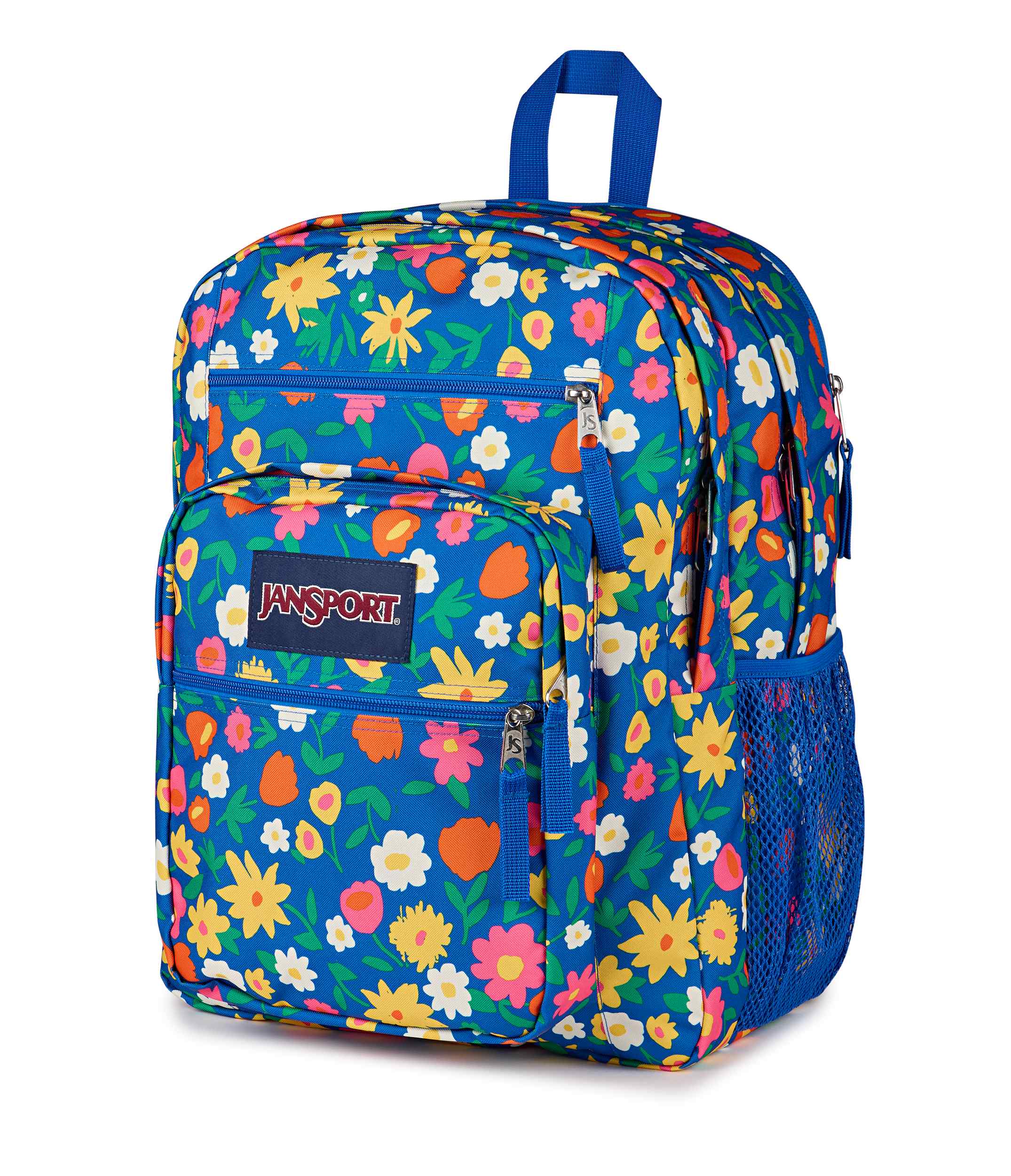 Big Student - Image 2